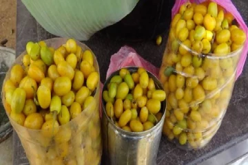 தமிழர் பகுதியில் மொபைல்....மோட்டார் சைக்கிள் என ஊர்சுற்றும் பிள்ளைகளுக்கு மத்தியில் இப்படியும் இருவர்!