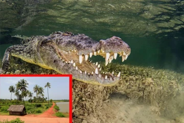 கணவன் மனைவிக்கிடையே சண்டை: குறைபாடுள்ள பிள்ளையை முதலையிடம் வீசிய பெண்