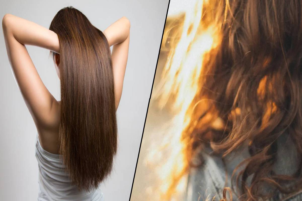 UV கதிர்வீச்சிலிருந்து முடியை காக்கும் இயற்கை எண்ணெய் | Natural Oil That Protects Hair From Uv Radiation