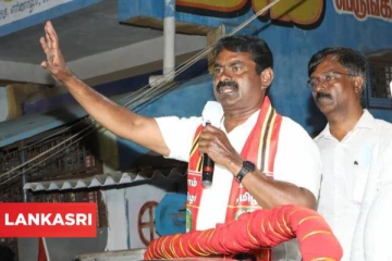 சீமானின் கடைசி கட்ட பிரச்சாரம்! தங்கள் சொந்த தொகுதிகளில் நிறைவு செய்த நட்சத்திர வேட்பாளர்கள்