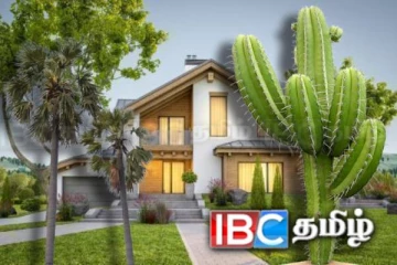 வீட்டில் வளர்க்கக் கூடாத மரங்கள் எவை தெரியுமா.....