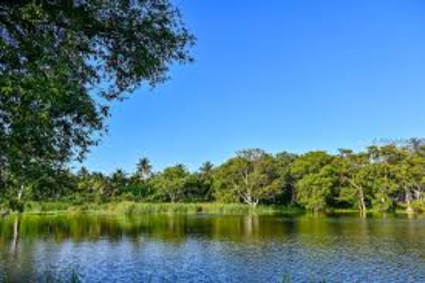 கிளிநொச்சி மக்களுக்கு பேராபத்து : துணைபோகும் அரசியல் தரப்பு | Kilinochchi People Water Issue