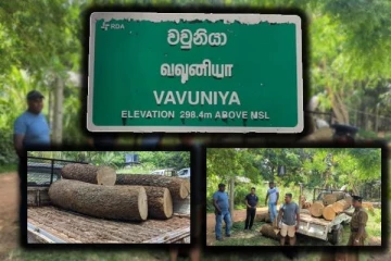 தமிழர் பிரதேசத்தில் வாகனம் மீது துப்பாக்கிச் சூடு: பல இலட்சம் மரங்கள் மீட்பு