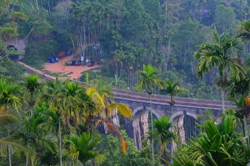 அவசரகாலச் சட்டம் காரணமாக சுற்றுலாத்துறை வீழ்ச்சியடையும் : நிபுணர்கள் எச்சரிக்கை