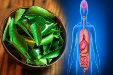 வெறும் வயிற்றில் கறிவேப்பிலை சாப்பிட்டால் இவ்வளவு நன்மைகளா?