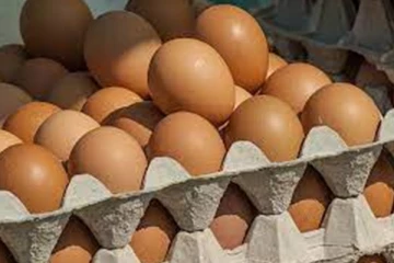 முட்டையின் விலை மேலும் உயர்வடையும் சாத்தியம்