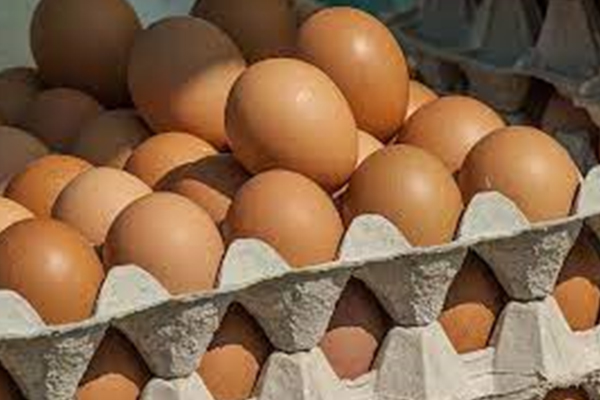 முட்டையின் விலை மேலும் உயர்வடையும் சாத்தியம் - ஐபிசி தமிழ்