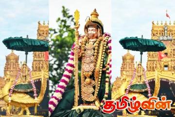 நல்லூரானின் ஏழாம் நாள் உற்சவம் இன்று.. LIVE