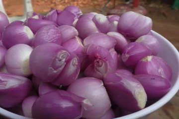 மொத்த கொழுப்பையும் கரைத்து விரட்டும் சின்ன வெங்காய சட்னி.... 5 நிமிடத்தில் ரெடி!