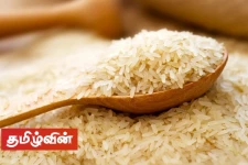 சம்பா மற்றும் நாடு அரிசிகளின் விலை அதிகரிப்பு