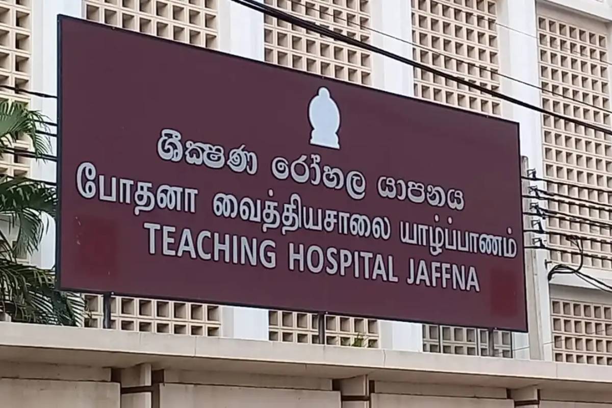யாழ். பருத்தித்துறை வீதியில் விபத்து : நல்லூரைச் சேர்ந்த முதியவர் உயிரிழப்பு | Elderly Man Dies In Accident In Jaffna