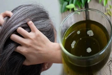 வெள்ளைமுடியை வேரிலிருந்து கருப்பாக்க உதவும் எண்ணெய்- எப்படி தயாரிப்பது?