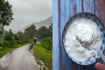 மழைக்காலத்தில் தயிர் சாப்பிடக் கூடாதா?