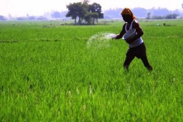 இந்தியாவின் திரவ உர இறக்குமதியில் முறைகேடுகள்
