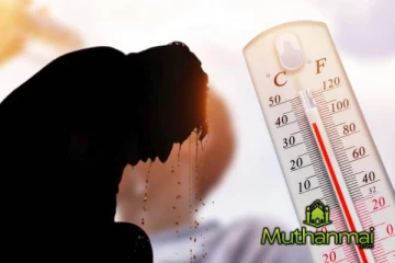 கடும் வெப்பத்தால் 7000இற்கும் அதிகமானோர் பாதிப்பு