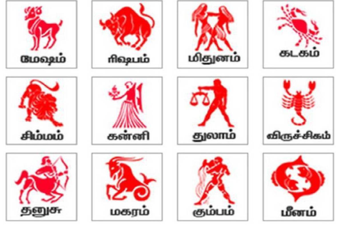 அக்டோபர் 3 முதல் சுக்கிரன் வக்ரம்: 12 ராசிகளுக்குளுக்குமான சிறப்பு கணிப்பு இதோ! | Venus Retrograde In Libra Effects On 12 Zodiacs