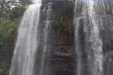 ධාරානිපාත වැස්සෙන් නකල්ස් රක්ෂිතයේ අලංකාරය දෙගුණ වෙයි- ජෝඩු ඇල්ල, සාරි ඇල්ල සහ හුළුගඟ දියඇල්ල පූර්ණ ලෙස සක්‍රීයයි