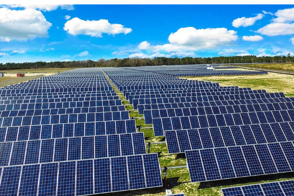 இரு பிரபல கிரிக்கெட் வீரர்களின் ஊழலை அம்பலப்படுத்திய முஜுபுர் ரஹ்மான் | Mujibur Rahuman Anura Kumara Dissanayake இரு பிரபல கிரிக்கெட் வீரர்களின் ஊழலை அம்பலப்படுத்திய முஜுபுர் ரஹ்மான் | Mujibur Rahuman Anura Kumara Dissanayake