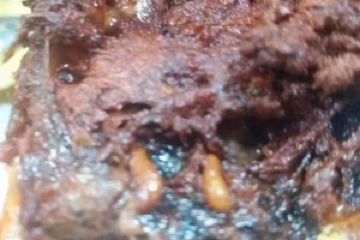 பிரியாணியில் கொத்தாக நெளிந்த புழுக்கள் - பிரபல உணவகத்தில் பகீர்!