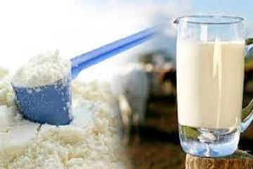 மூன்று வாரங்களாக பால்மாவுக்கு தட்டுப்பாடு - பெரும் சிரமங்களை எதிர்நோக்கும் மக்கள்