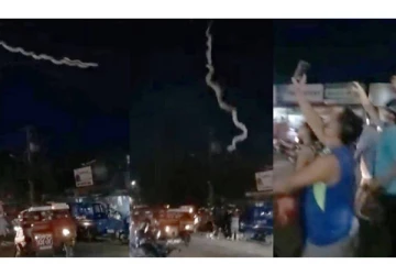 அந்தரத்தில் தொங்கிய ஆளுயரப் பாம்பு - கீழே விழுந்ததால் மக்கள் அலறி அடித்து ஓட்டம்