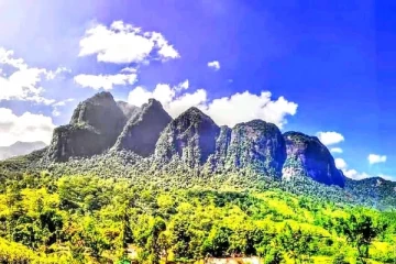 ஏழு கன்னியர் வனப்பகுதிக்குள் முகாமிட்டிருந்த பெண் மருத்துவர் உட்பட ஆறு பேர் கைது