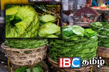 அதிரடியாக உயர்ந்த வெற்றிலை விலை