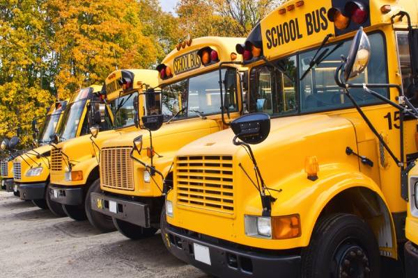 இந்தியாவிலுள்ள பள்ளி பேருந்து மஞ்சள் நிறத்தில் இருப்பது ஏன்? | Why Are School Buses Yellow