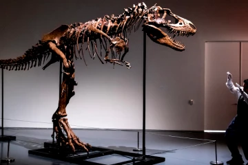 372 கோடிக்கு ஏலம் போன டைனோசரின் எலும்புக்கூடு