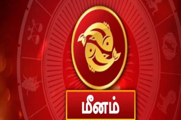 மீன ராசிக்காரர்கள் இந்த விஷயங்களை செய்தால் 100% வெற்றி உறுதியாம்