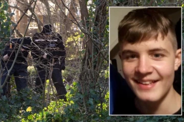 வனப்பகுதியில் சிறுவனின் சடலம்: ஆசை வார்த்தை கூறி தீர்த்துக்கட்டிய நண்பன்