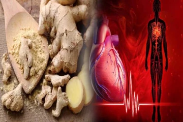 தினசரி உணவில் இஞ்சி சேர்ப்பவரா நீங்க? யாரெல்லாம் தவிர்க்கனும்னு தெரிஞ்சிக்கோங்க