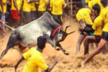 சூரியூர் ஜல்லிக்கட்டு :  மாடு முட்டி ஒருவர் உயிரிழப்பு