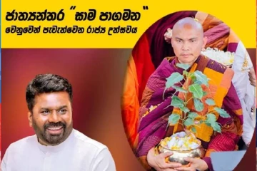 ජාත්‍යන්තර “සාම පාගමන” වෙනුවෙන් පැවැත්වෙන රාජ්‍ය උත්සවය හෙට