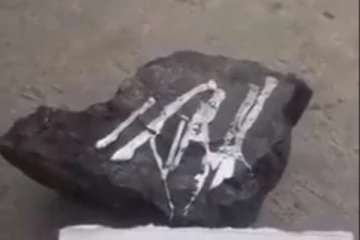 ஆணியை உருக்கும் சக்திவாய்ந்த கல்....  ஆராச்சியில் வெளிவந்த அதிசய உண்மை!