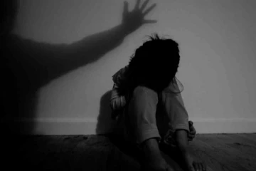 3 வயது சிறுமிக்கு 9 வயது சிறுவன் பாலியல் தொல்லை; காரணத்தை கேட்டு அதிர்ந்த பெற்றோர்