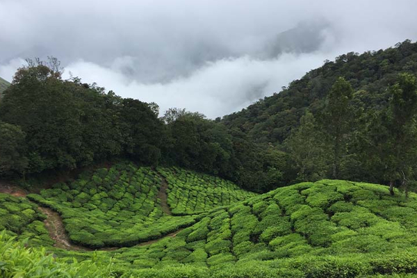 பேரழிவை சந்திக்க போகும் மலையக சமூகம்: அருட்தந்தை மா.சத்திவேல் எச்சரிக்கை | Media Statement By Reverend M Satthivel