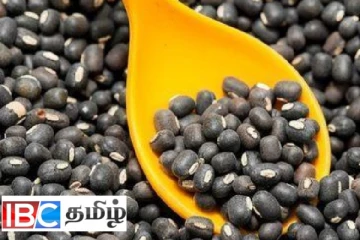 இலங்கையில் உளுந்தின் விலை எகிறியது!