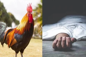 சேவலால் வெடித்த சண்டை - மகனை வெட்டிக்கொன்ற தந்தை