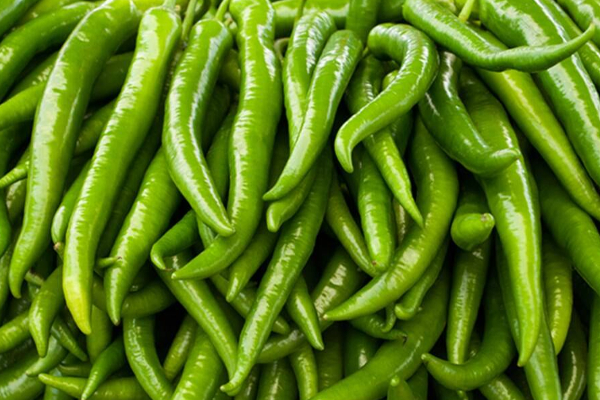 உச்சம் தொட்ட பச்சை மிளகாயின் விலை! | The Price Of Green Chili Reached The Peak