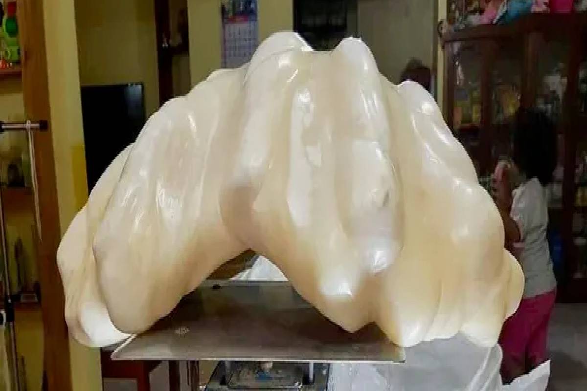 Philippines : 10 ஆண்டுகள் படுக்கைக்கு அடியில் இருந்த பல கோடி மதிப்புள்ள அரிய முத்து! | Fisherman Found Giant 100 Million Pearl Philippines : 10 ஆண்டுகள் படுக்கைக்கு அடியில் இருந்த பல கோடி மதிப்புள்ள அரிய முத்து! | Fisherman Found Giant 100 Million Pearl
