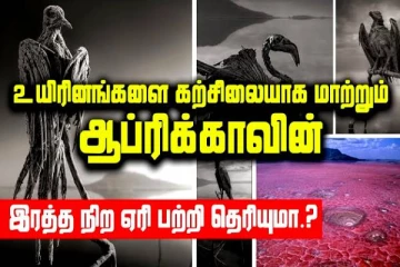 பல உயிர்களை காவு வாங்கும் அற்புத ஏரி! நீங்கள் அறியாத மர்மங்கள்