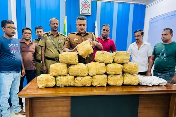 மன்னாரில் இருந்து கொழும்பு நோக்கி கடத்தப்பட்ட 28 கிலோ கேரளா கஞ்சா