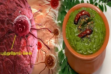 புற்றுநோயை எதிர்த்து போராடும் முருங்கை கீரை சட்னி... இவ்வளவு நன்மைகள் உள்ளதா?