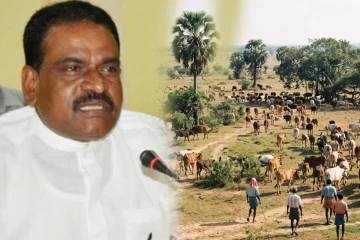 பண்ணையாளர்கள் மீது தொடரும் வன்முறை: நீதிமன்ற தீர்ப்பை நடைமுறைப்படுத்துமாறு கோரிக்கை!