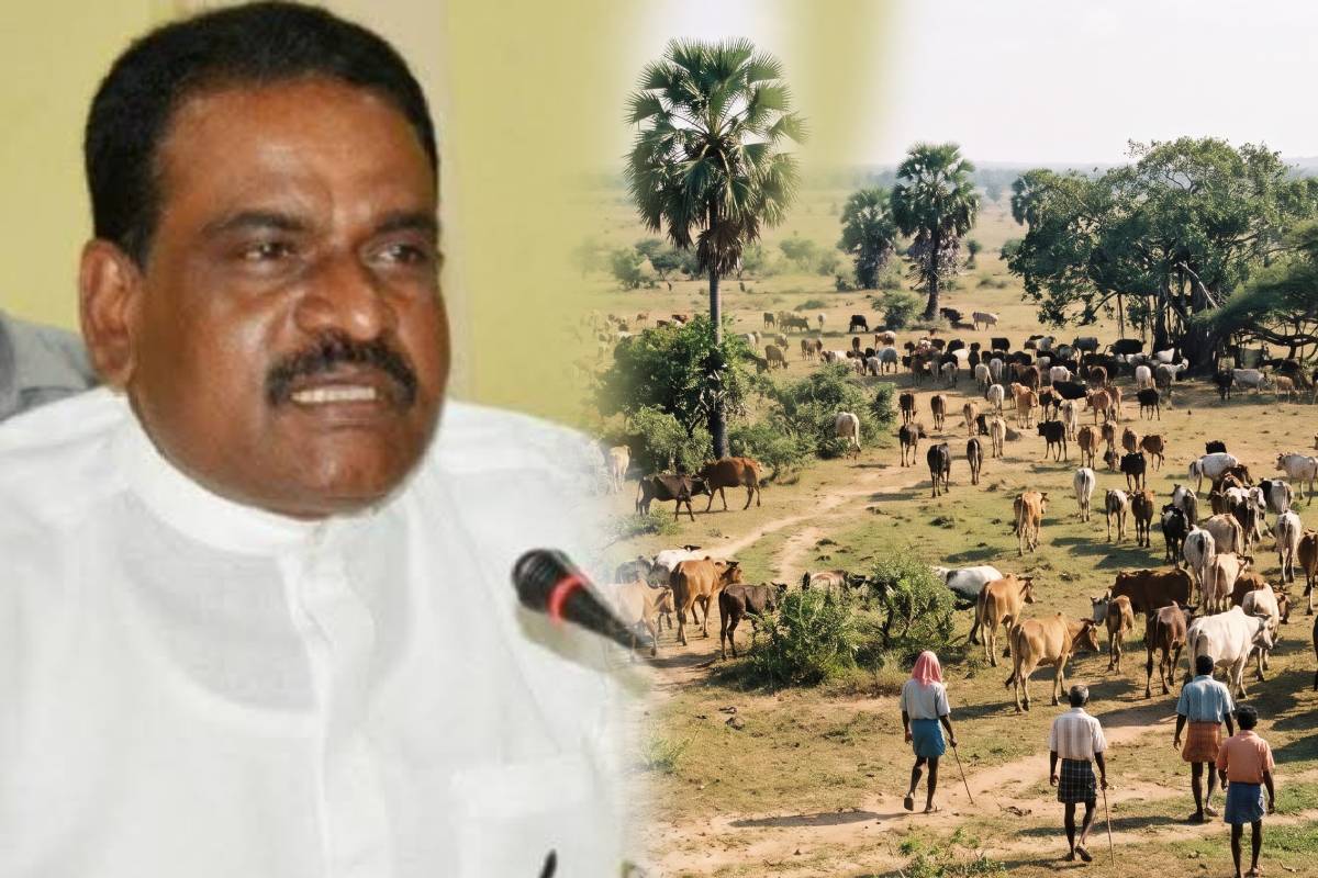பண்ணையாளர்கள் மீது தொடரும் வன்முறை: நீதிமன்ற தீர்ப்பை நடைமுறைப்படுத்துமாறு கோரிக்கை!
