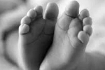 මාස හතරක බිළිඳෙකු වන අලියෙකු බ්ළිිගත් බිහිසුණු සංවේදී පුවත