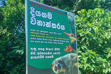 හෝමාගම දියගම වනාන්තරය රක්ෂිතයක් කිරීමට රජයෙන් පියවර
