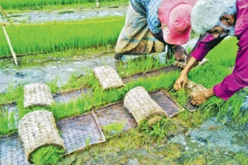 விவசாயிகளுக்கு 40 இலட்சம் ரூபா பெறுமதியான நிவாரணம் வழங்க தீர்மானம்