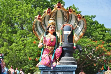 யாழ்ப்பாணம் குறிகட்டுவான் சுற்றுவட்டத்தில் அம்மன் சிலை!